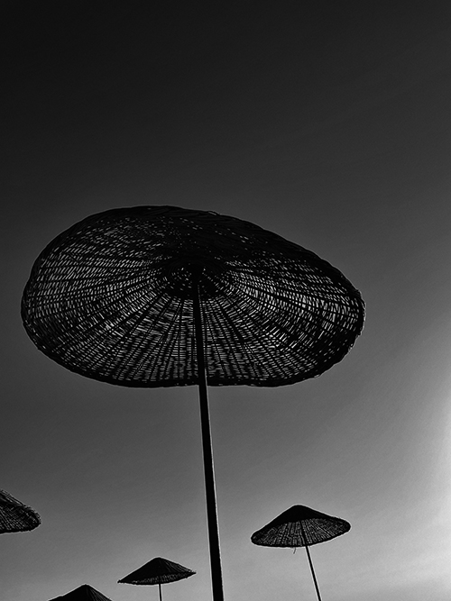 Weird Mushrooms
